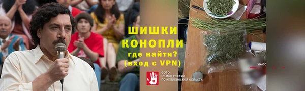 PSILOCYBIN Нязепетровск