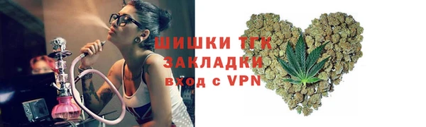 стаф Новокубанск