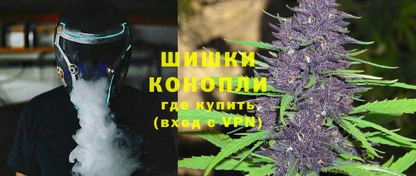 стаф Новокубанск