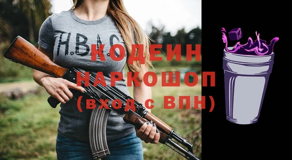 амф Няндома