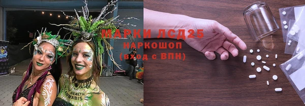 стаф Новокубанск
