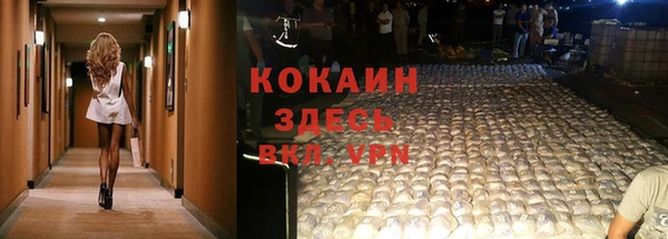 PSILOCYBIN Нязепетровск