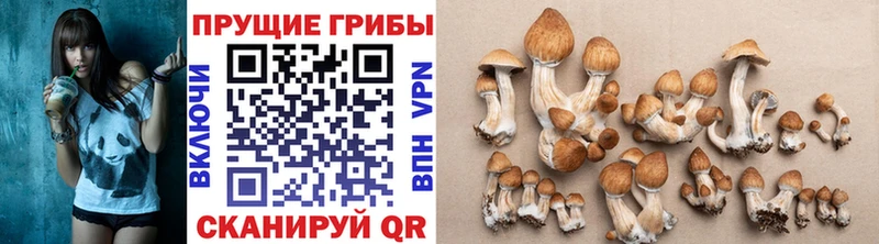 купить   Красноперекопск  Галлюциногенные грибы мухоморы 