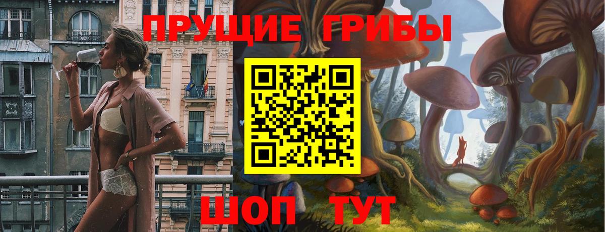 Галлюциногенные грибы ЛСД  хочу наркоту  Красноперекопск  Вход с VPN 